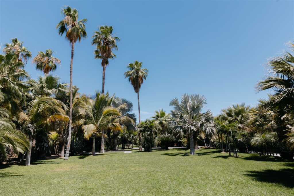 Lawn space of Acre Resort for weddings