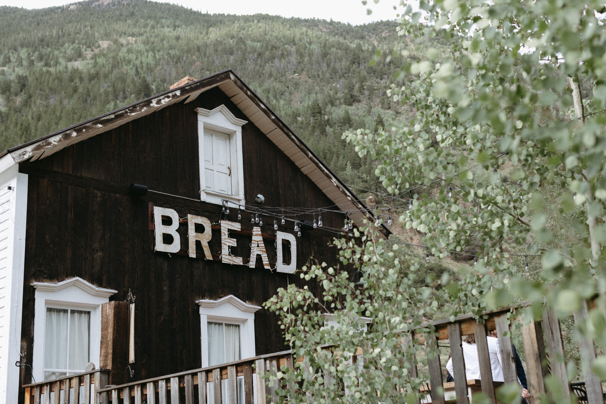 Aspen trees surrounding Bread Bar at Loveland Pass in Colorado elopement